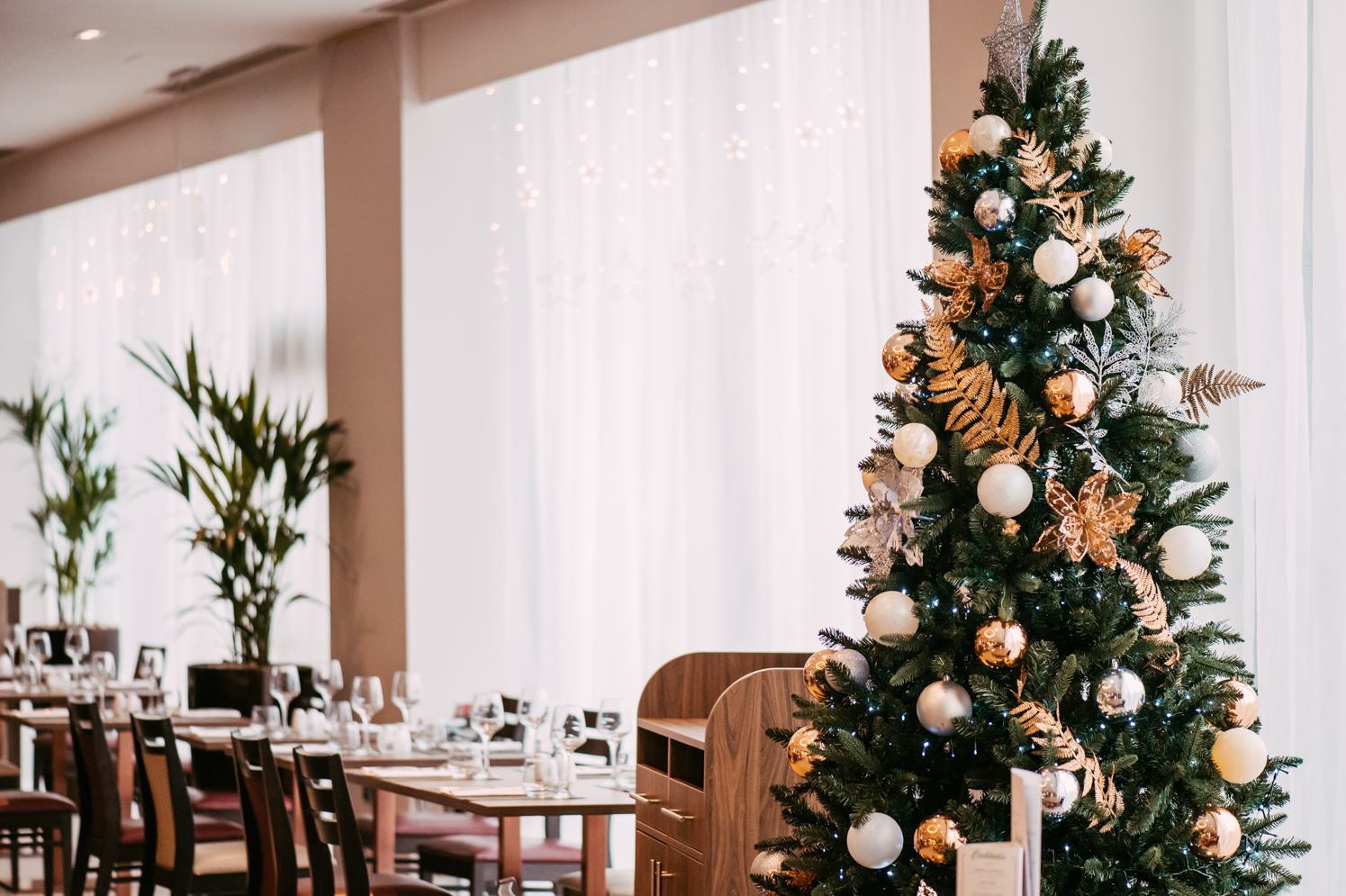 Lancashirecricketclub Christmasdecorationsshoot Webresolution 271119 MANCPHOTO016