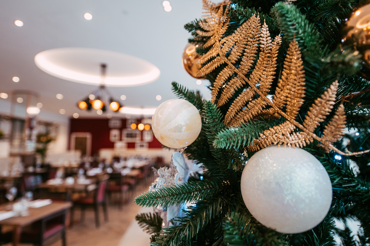 Lancashirecricketclub Christmasdecorationsshoot Webresolution 271119 MANCPHOTO014