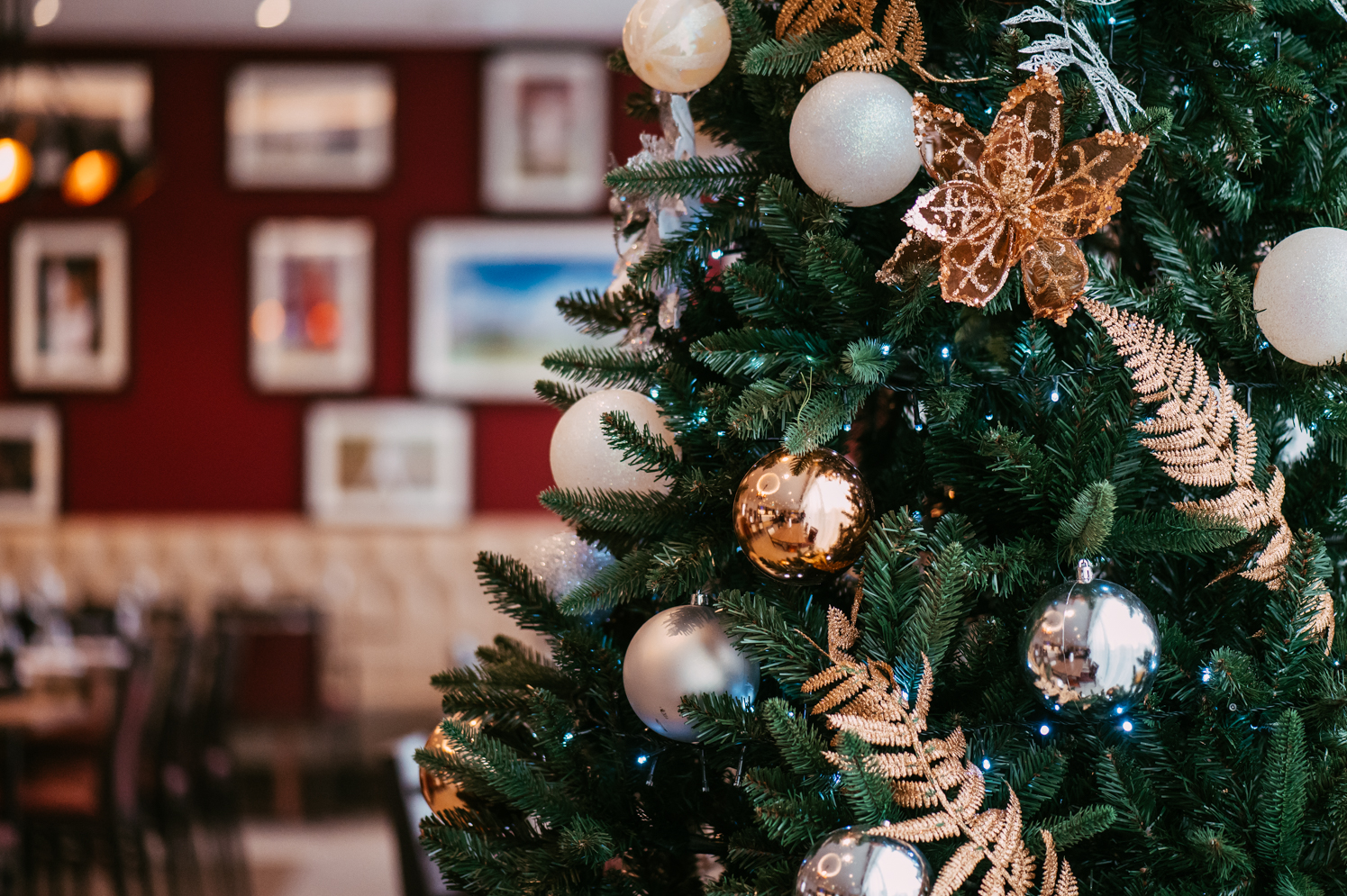 Lancashirecricketclub Christmasdecorationsshoot Webresolution 271119 MANCPHOTO032